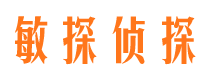 武平市私家侦探